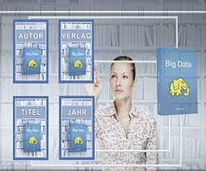 Big data: Searching in large amounts of data quickly and efficiently
