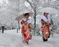 Tokyo gets first 'heavy snow' alert in four years