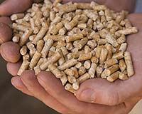 Carbon Certification Of Biofuels Confusion Causes Concerns