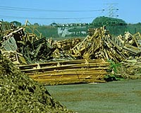 Chemicals from wood waste