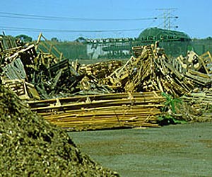 New Direction Of Bioenergy Research At University Of Idaho