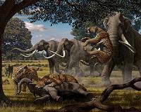 Research gives new insight into diet of large ancient mammals