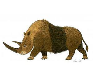 Unraveling the causes of the Ice Age megafauna extinctions