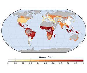 Increasing cropping frequency offers opportunity to boost food supply