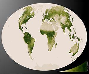 Vegetation as Seen by Suomi NPP