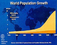 Food, energy demands to skyrocket
