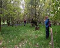 Major new project maps out woodland biodiversity