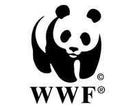 'Death threats' for WWF staff opposing UK oil firm in DR Congo park