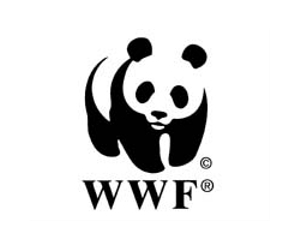 China development threatens wildlife: WWF