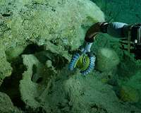 No more Iron Man: submarines now have soft, robotic arms