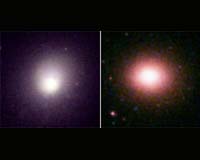 XMM-Newton Reveals Chemical Signatures Of Galaxy Clusters