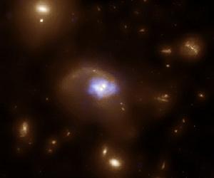 How to build a middleweight black hole