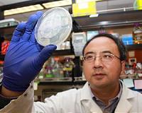 A new way track and stop human and agricultural viruses