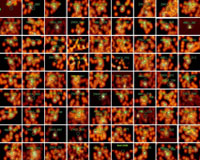 XMM-Newton Compiles Survey Of Sky During Space Time