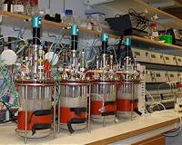 Yeast cell factories make gas, jet fuel alternatives