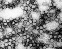 Doctors punished in China for mishandling deadly virus outbreak: Xinhua