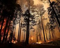 Thousands flee homes as California burns