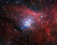 Lives and Deaths of Sibling Stars