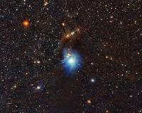 A star's moment in the spotlight