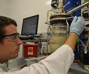 Sweet diesel! Discovery resurrects process to convert sugar directly to diesel