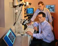 New Light On How Metals Change Shape At The Nanoscale