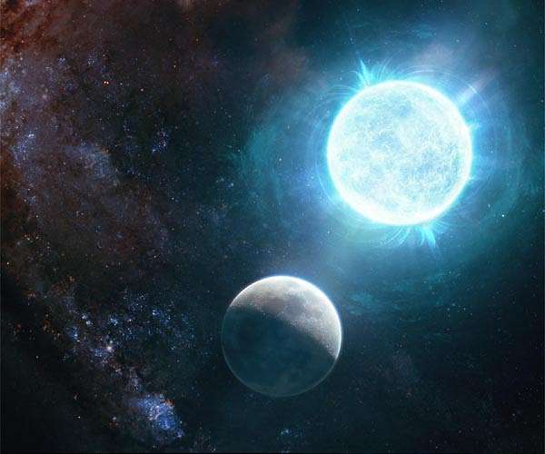 Unraveling the diet of white dwarfs: New insights into their metal consumption