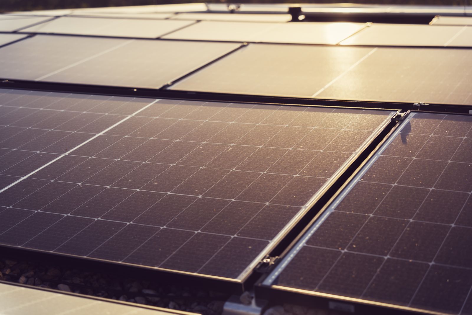 concentrator photovoltaic cell