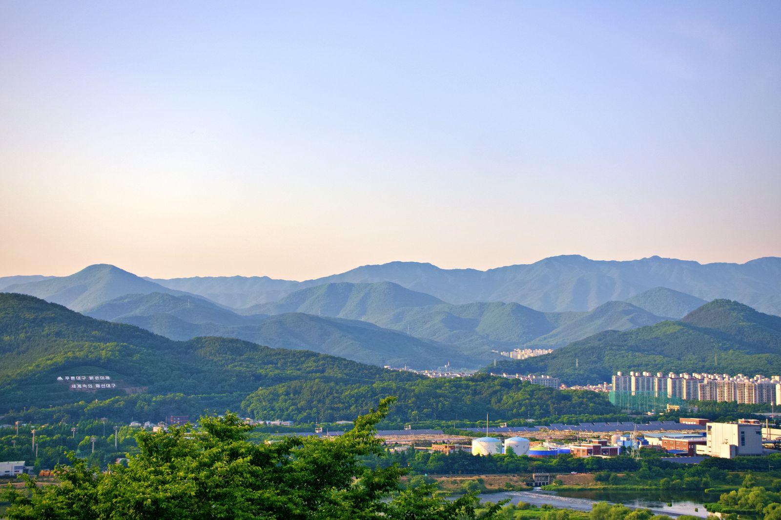 Korean mountain forest