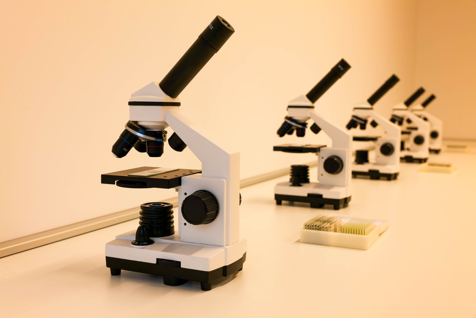 Rosalind Franklin laboratory