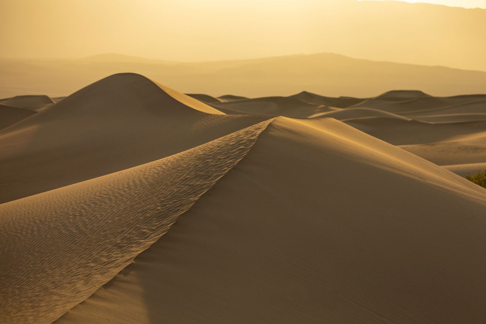 Rub al Khali dunes