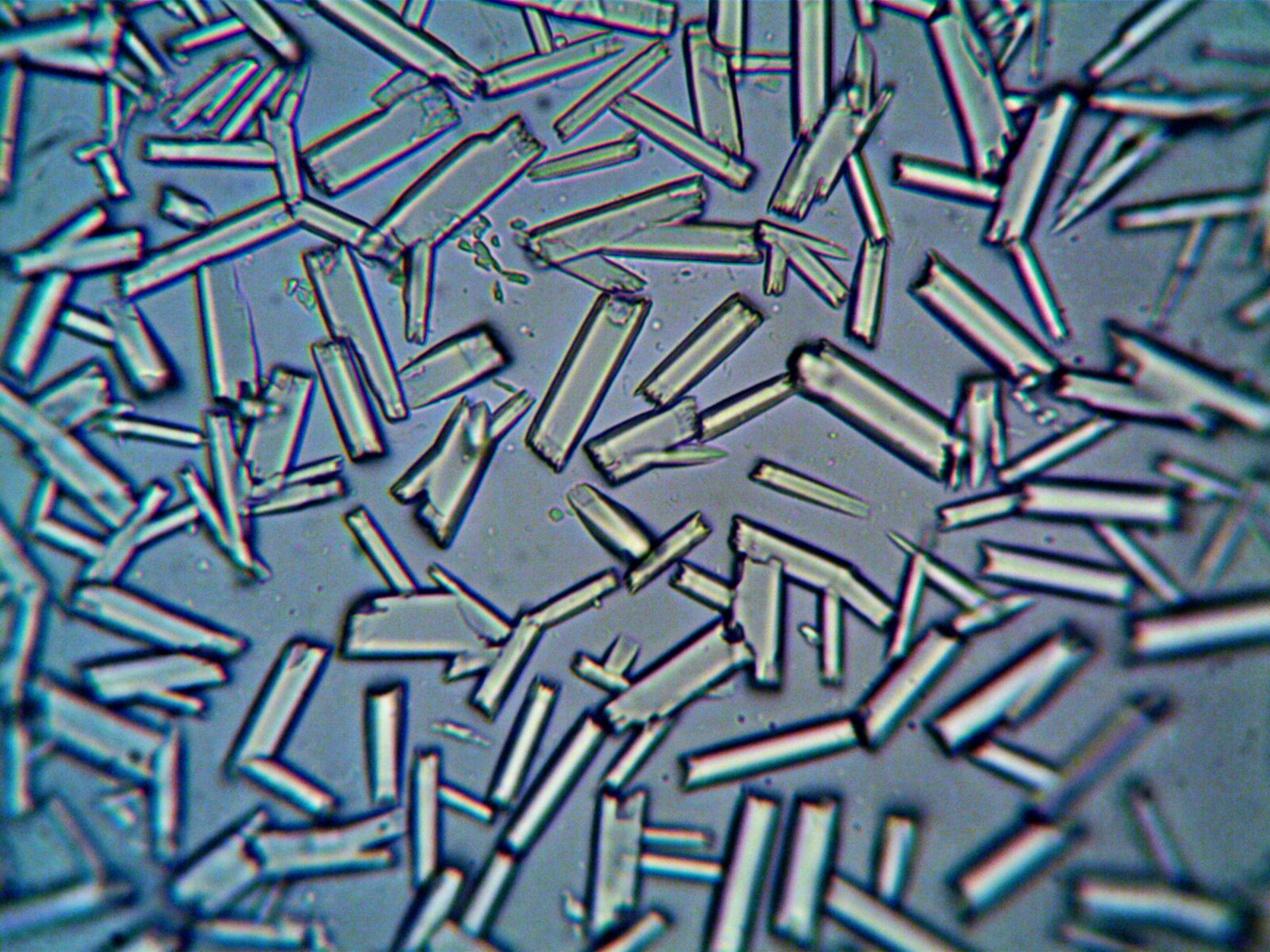lunar regolith grains microscope