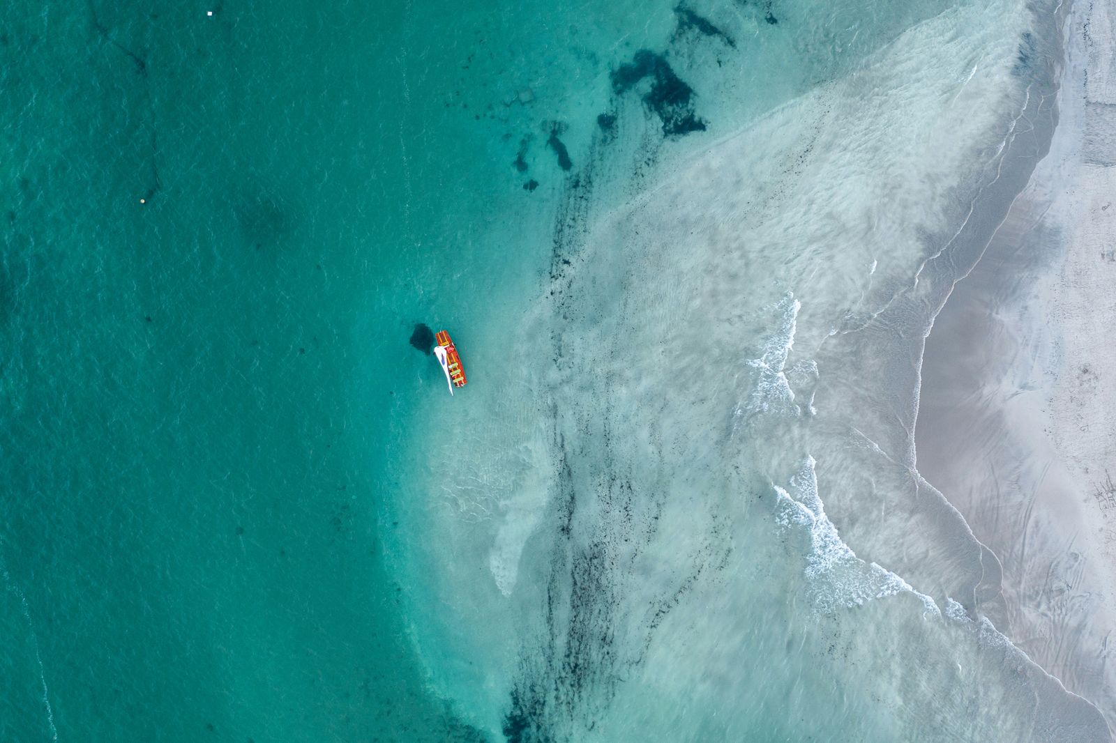 Southern Ocean phytoplankton bloom