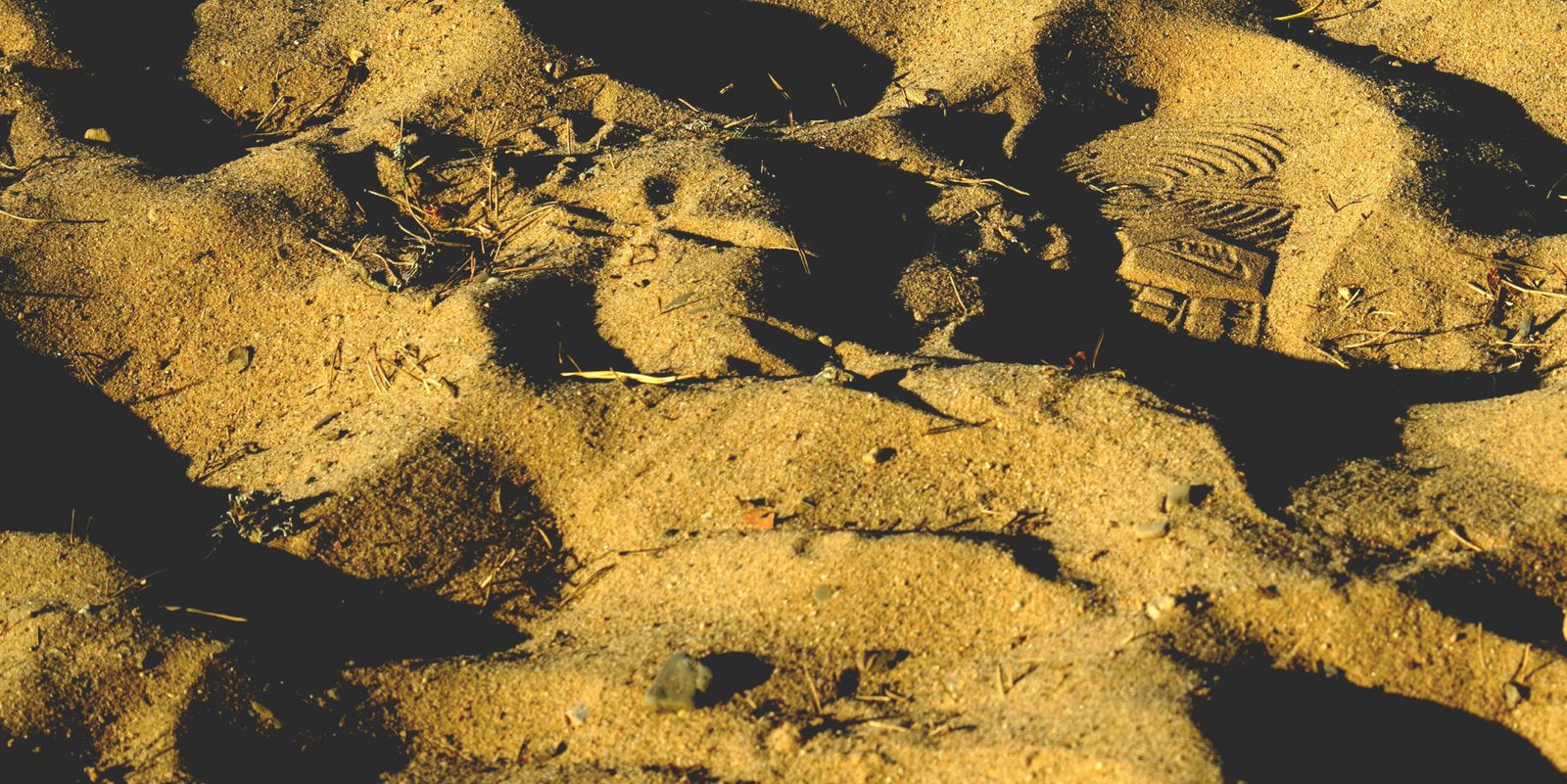 The bootprints Neil Armstrong and Buzz Aldrin pressed into the Sea of Tranquility on 20 July 1969 will still be visible roughly a million years from now, becaus
